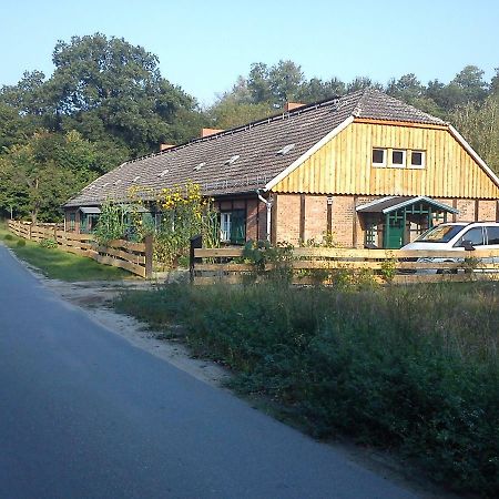 Ferienwohnungen 3 Birken Briesen  Ngoại thất bức ảnh